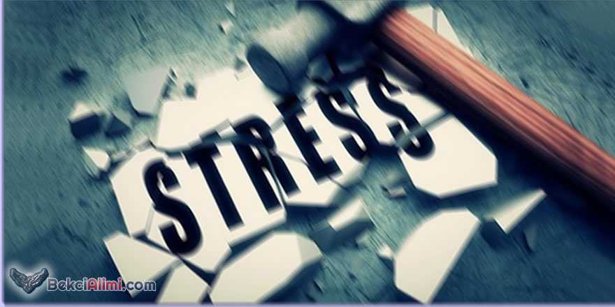 stres nedir