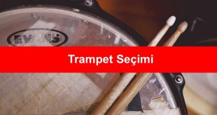 Trampet Secimi